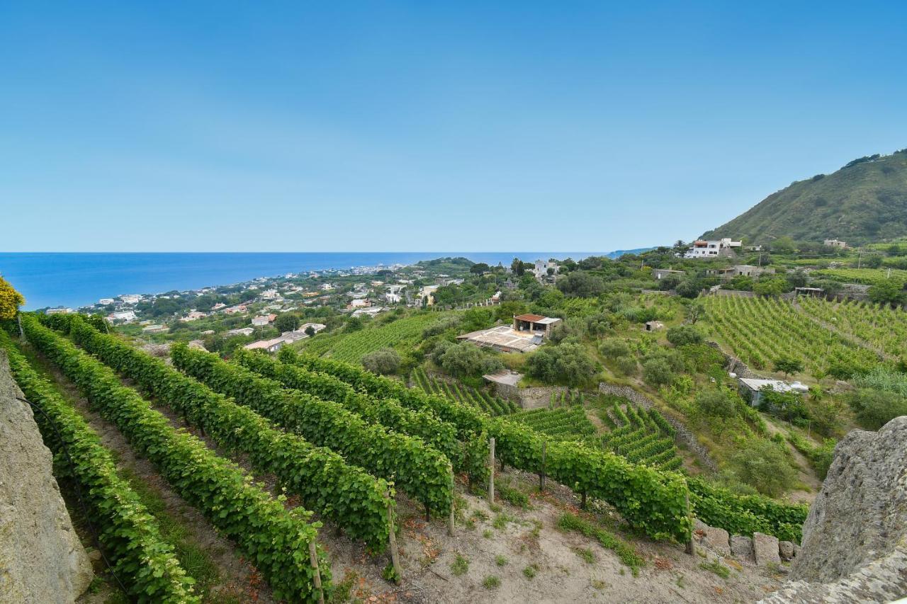 Tenuta C'Est La Vie Forio  Ngoại thất bức ảnh